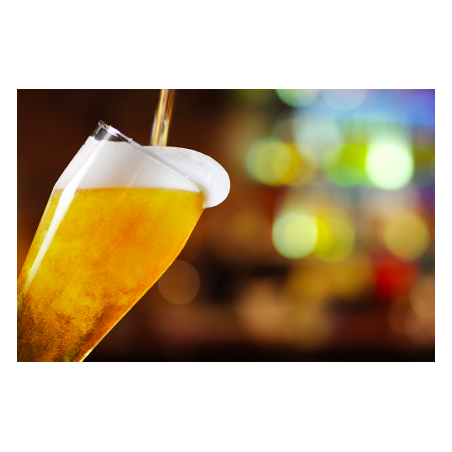 [FS97]Brewery industry filter
